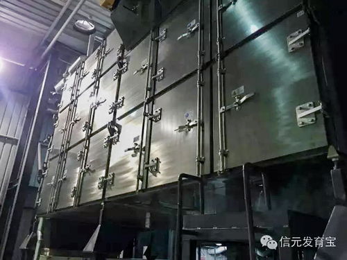 上海信元寵食工廠實力揭幕 網絡工程背后的秘密